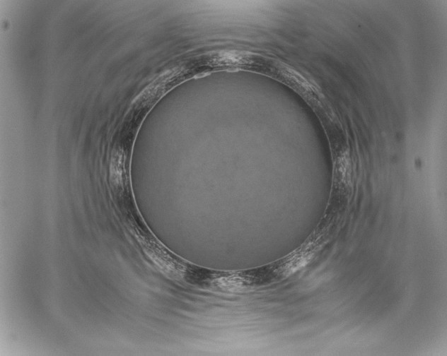 X0000059050423200510171919