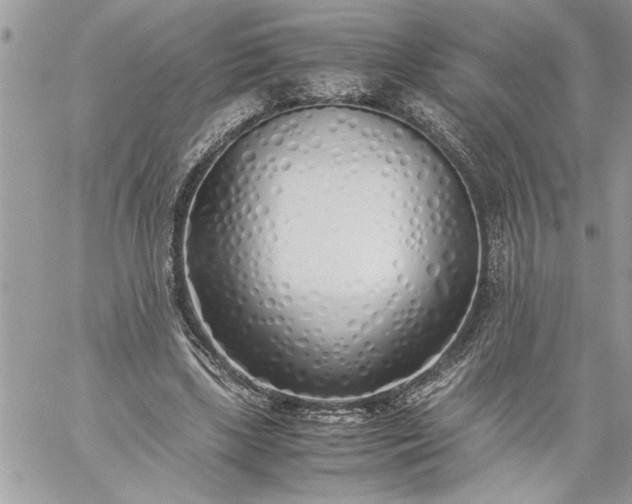 X0000059050443200510171918