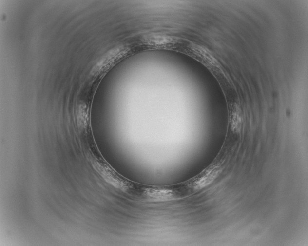 X0000059050476200510171919