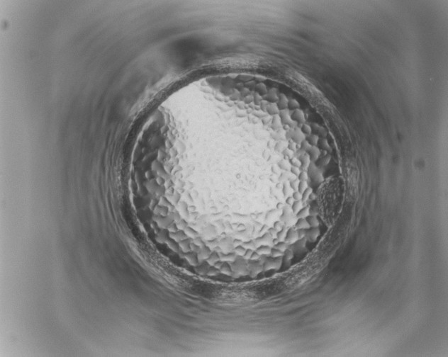 X0000059050487200510171918