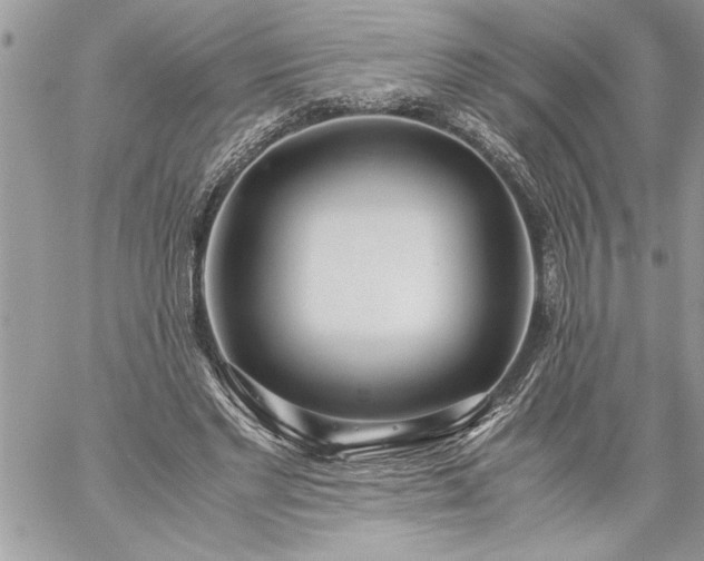 X0000059050493200510171918