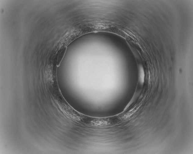 X0000059050512200510171917