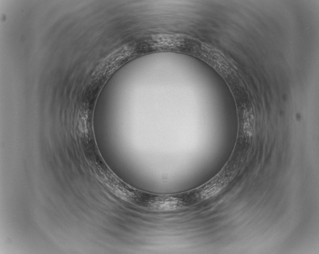 X0000059050514200510171917