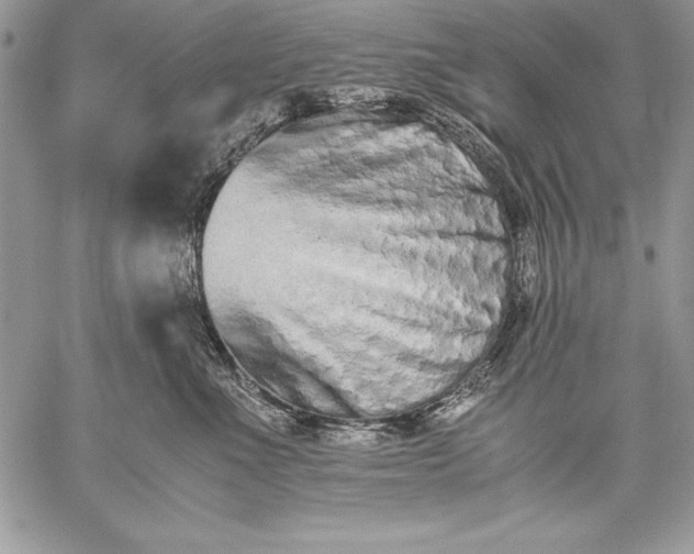 X0000059050523200510171917