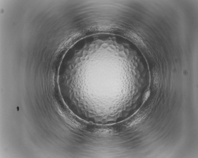 X0000059050542200510171917