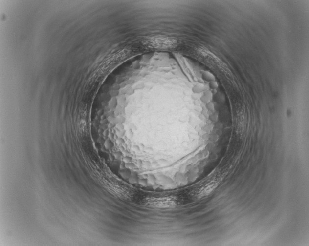 X0000059050553200510171917