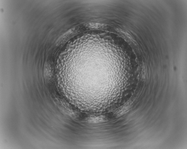 X0000059050569200510171917