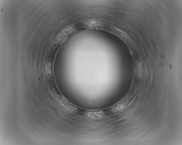 X0000059050571200510171917