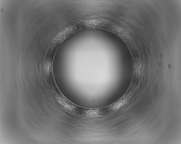 X0000059050574200510171917