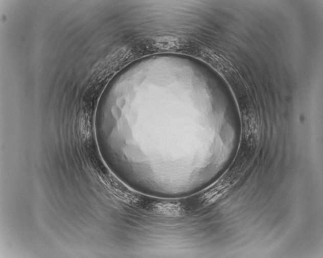 X0000059050606200510171916