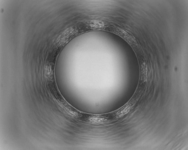 X0000059050614200510171916