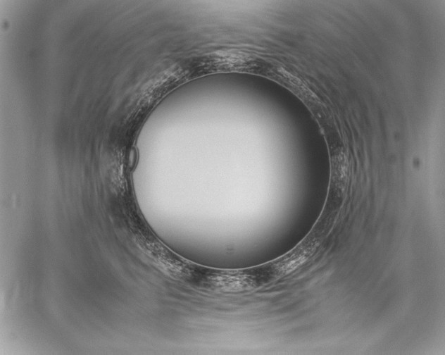 X0000059050615200510171916