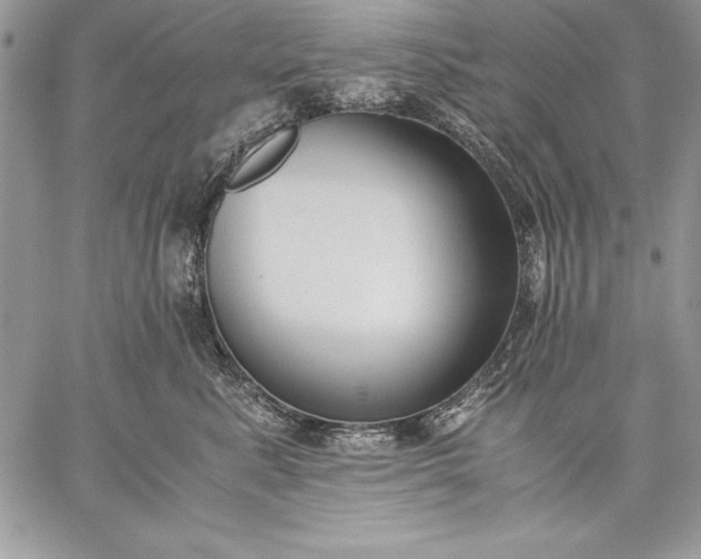 X0000059050619200510171916