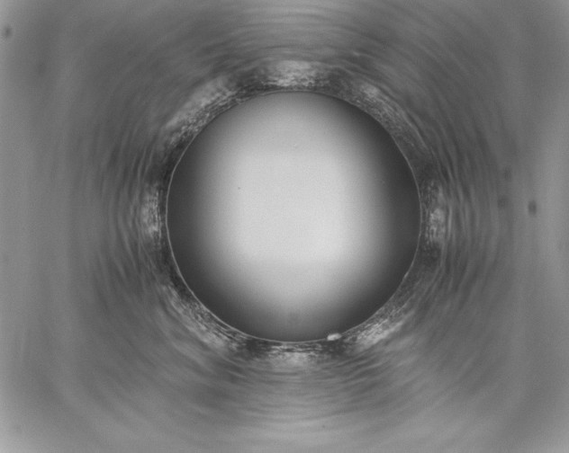 X0000059050620200510171916