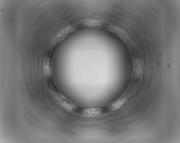 X0000059050622200510171916