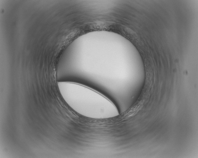 X0000059050624200510171916