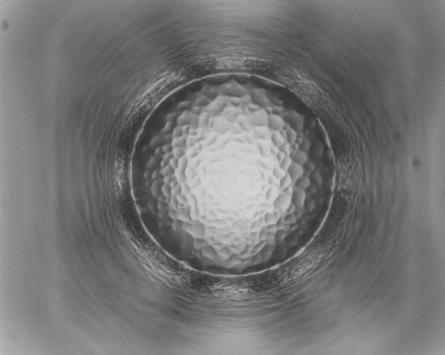 X0000059050648200510171915
