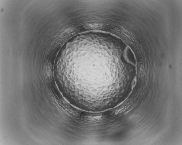 X0000059050651200510171915