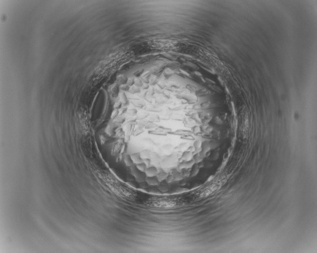 X0000059050658200510171915