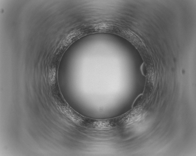 X0000059050660200510171915