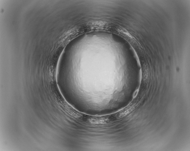 X0000059050661200510171915