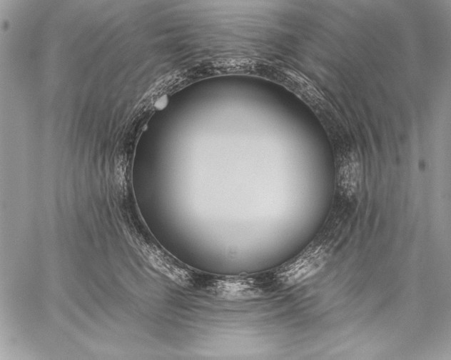 X0000059050662200510171915