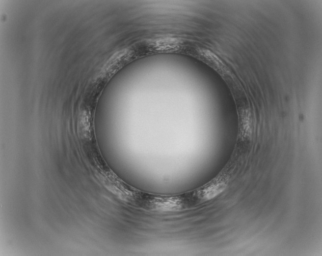 X0000059050667200510171915