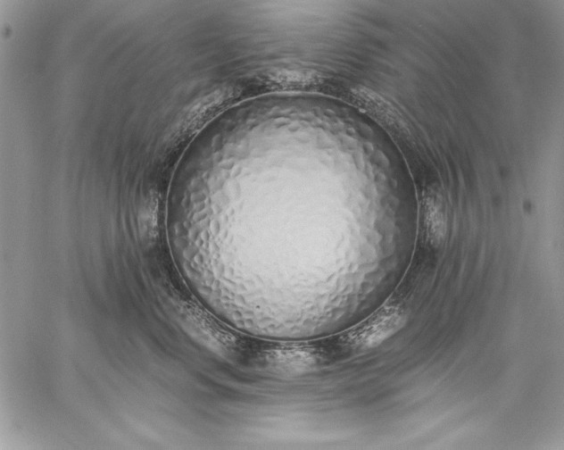 X0000059050668200510171916