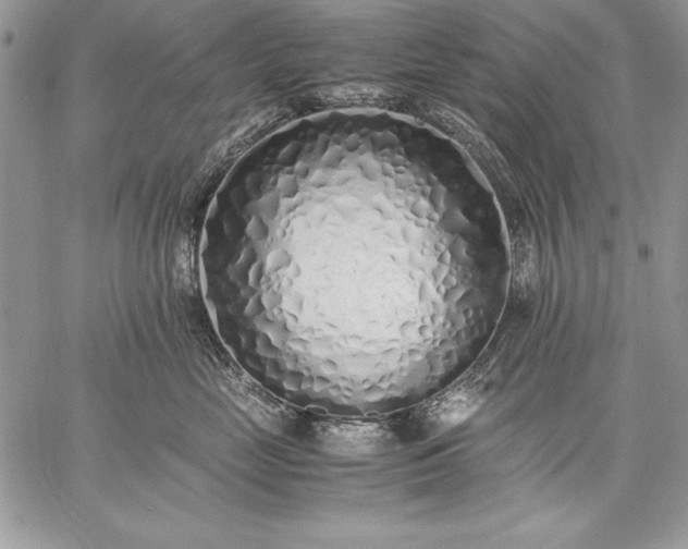 X0000059050669200510171916