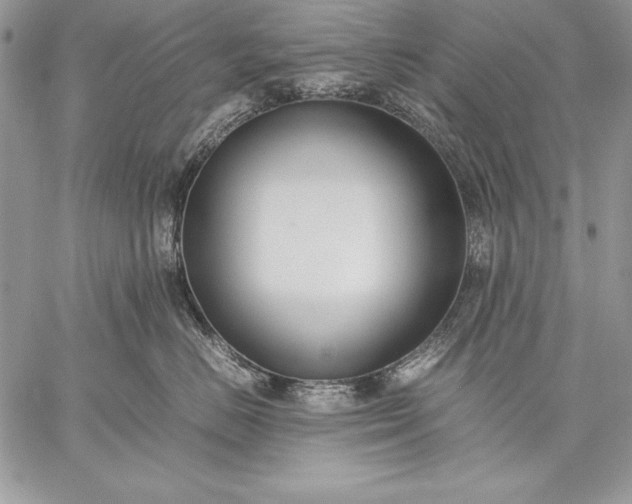 X0000059050670200510171916