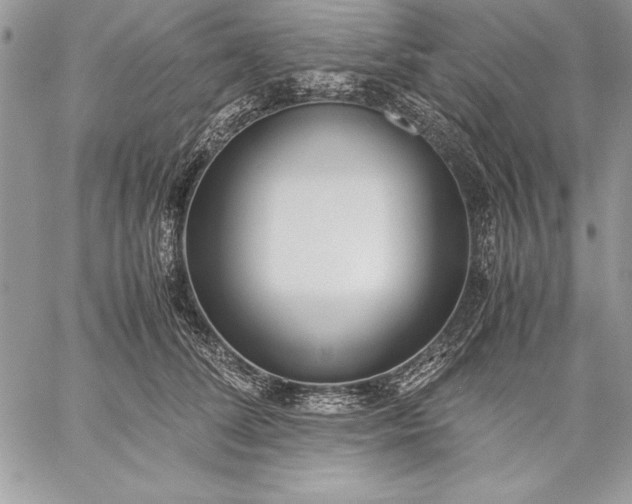 X0000059050708200510171914