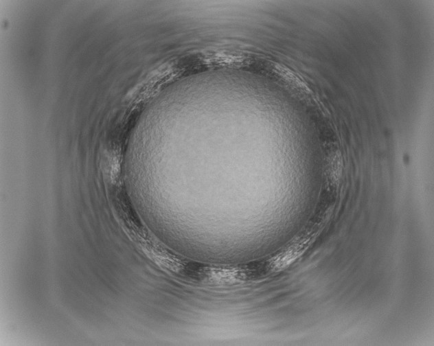 X0000059050709200510171914