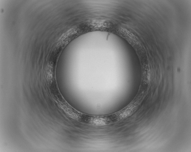 X0000059050710200510171914