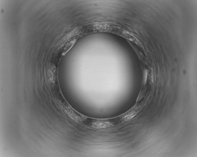 X0000059050712200510171914