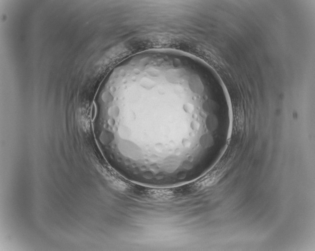 X0000059050719200510171914