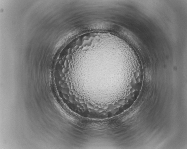 X0000059050725200510171913