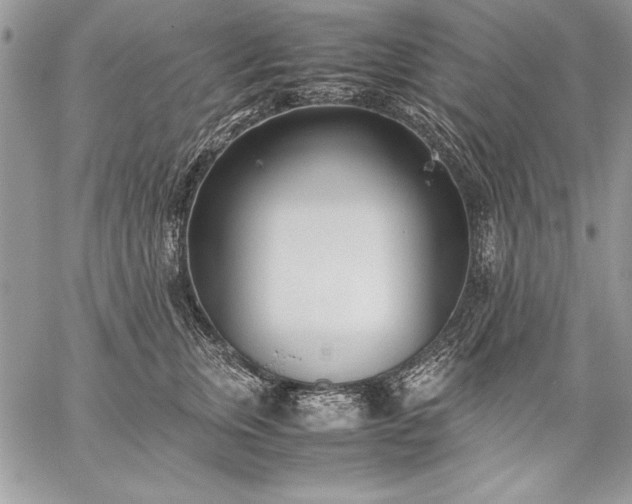 X0000059050759200510171914