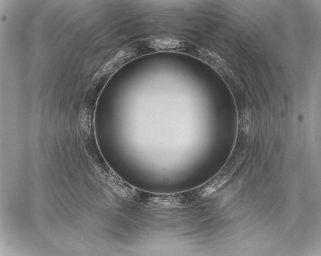 X0000059050763200510171914