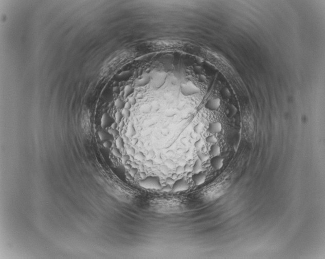 X0000059050765200510171914