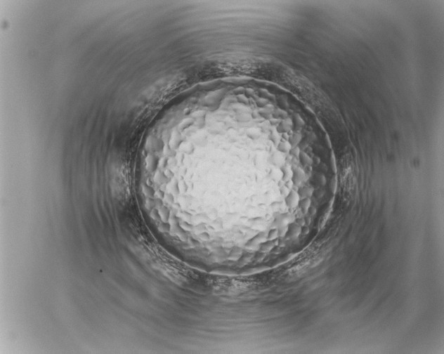 X0000059050772200510171913