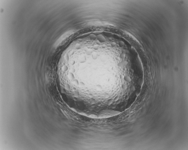 X0000059050775200510171913