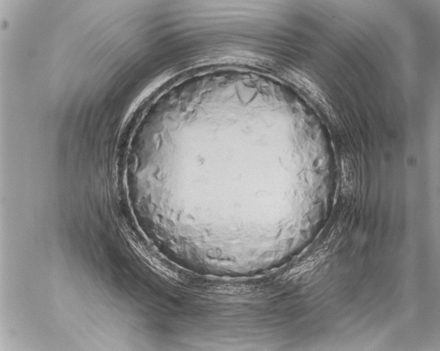 X0000059050780200510171913