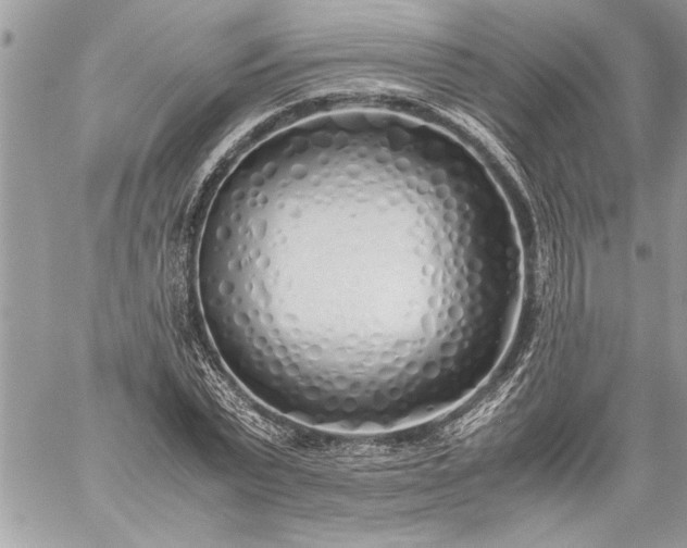 X0000059050783200510171913