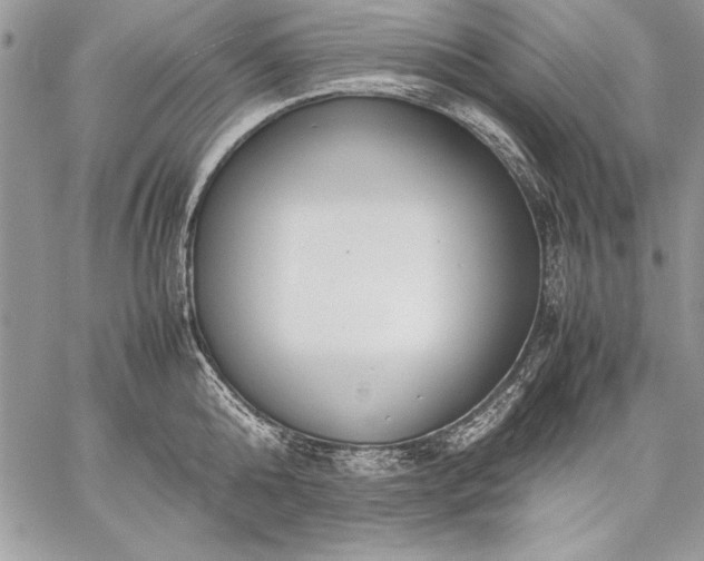 X0000059050808200510171912
