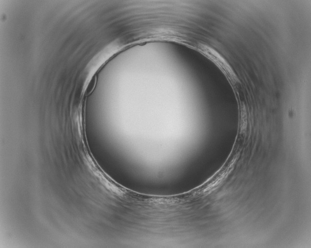 X0000059050812200510171912