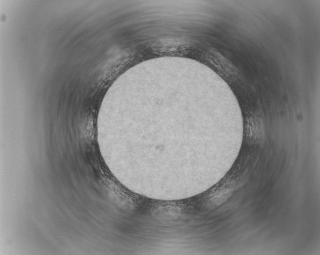 X0000059050820200510171912