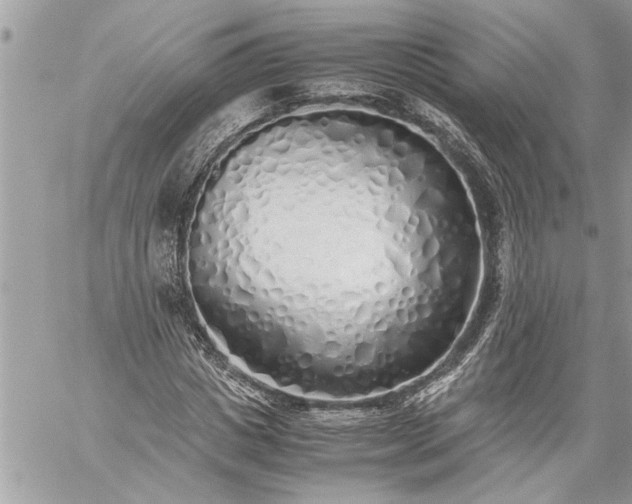X0000059050825200510171912