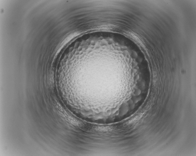 X0000059050835200510171912