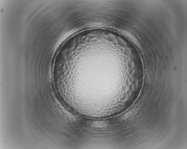 X0000059050839200510171912