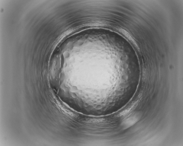 X0000059050845200510171912